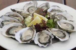 Our Sensational Oysters